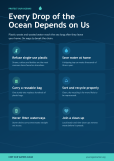 Environmental Awareness Posters for School Project