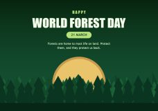Happy World Forest Day Celebration Posters