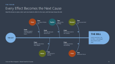 Cause and Effects Fishbone Diagrams