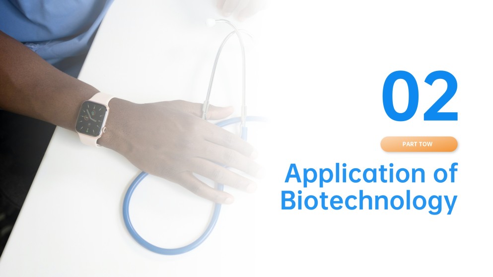 Kostenlose Startup Pitch Deck PowerPoint Vorlage