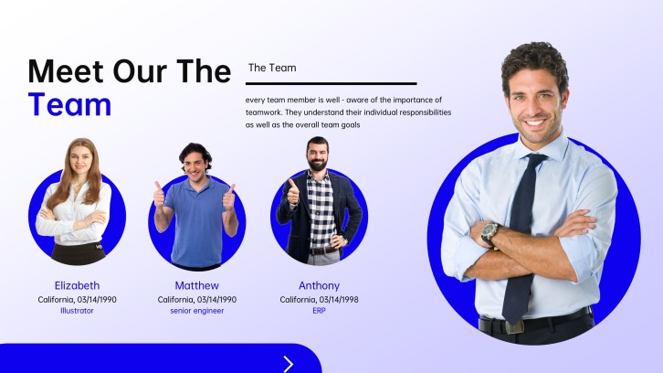 Northstar Analytics business one pager leadership team portraits