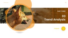 Playful Pet Business Proposal PowerPoint Template