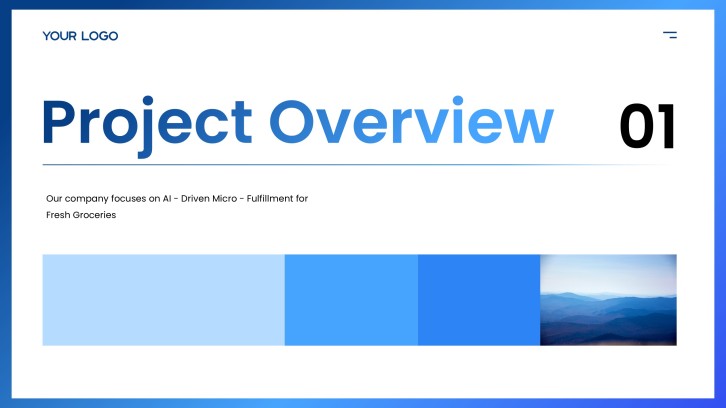 Project Management Monthly Report PPT slide 3: Project Overview