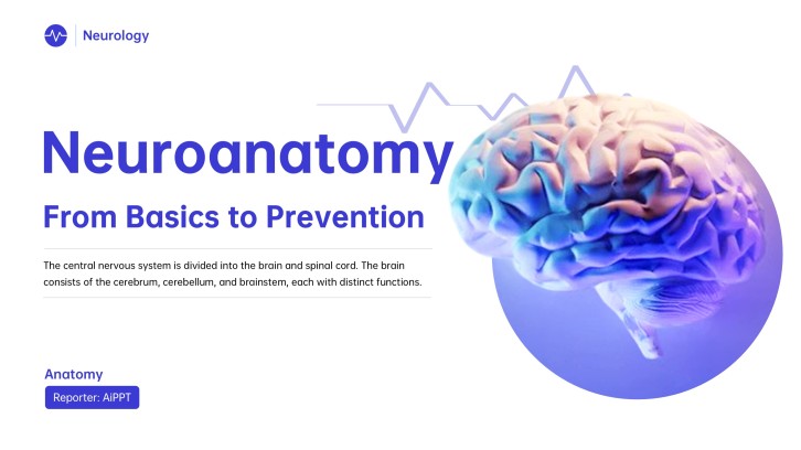 Blue Creative Neuroanatomy PowerPoint Template