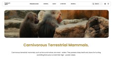 Template PowerPoint Hewan Minimalis Cokelat