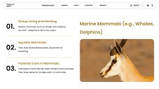 Template PowerPoint Hewan Minimalis Cokelat