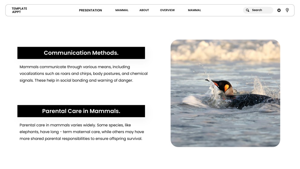 Template PowerPoint Hewan Minimalis Cokelat