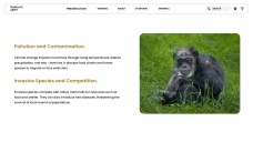 Template PowerPoint Hewan Minimalis Cokelat