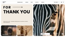 Template PowerPoint Hewan Minimalis Cokelat