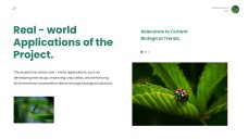 綠色極簡生物學項目模板適用於PowerPoint和Google Slides