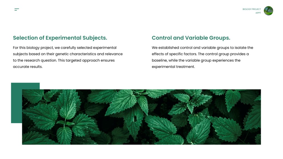 綠色極簡生物學項目模板適用於PowerPoint和Google Slides