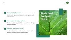 綠色極簡生物學項目模板適用於PowerPoint和Google Slides