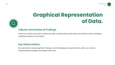 綠色極簡生物學項目模板適用於PowerPoint和Google Slides