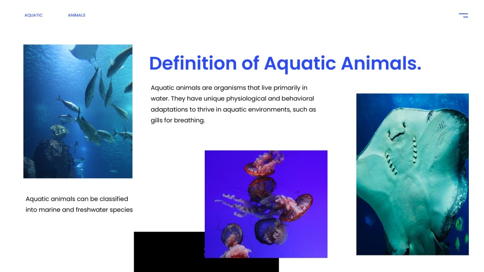 Plantilla PPT de Animales Acuáticos de Estilo Minimalista Azul