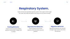 Plantilla PPT de Animales Acuáticos de Estilo Minimalista Azul
