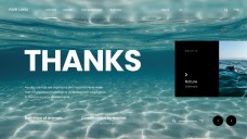 Plantilla PPT de Animales Acuáticos de Estilo Minimalista Azul