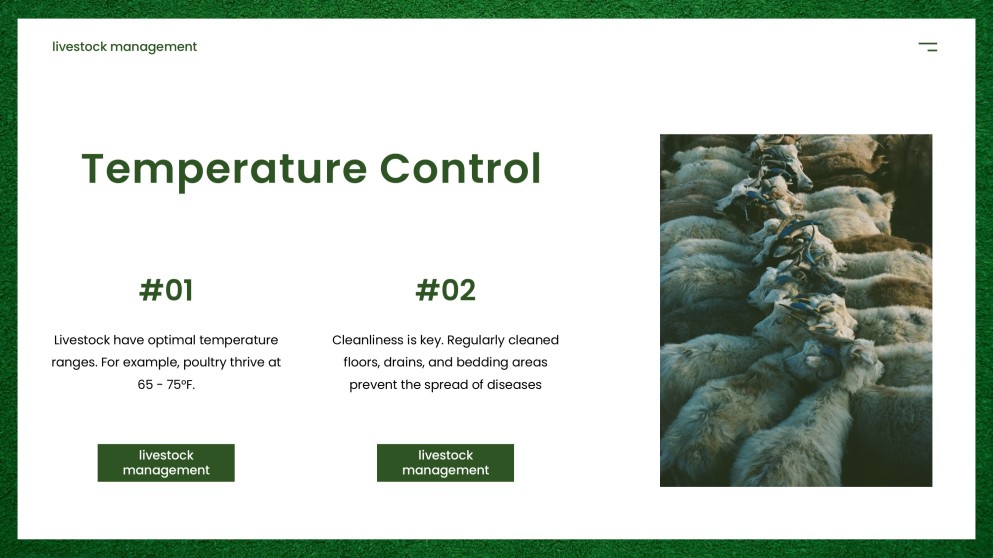 Modern Agriculture Livestock Management PPT with Icons