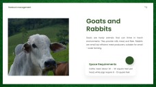 Modern Agriculture Livestock Management PPT with Icons