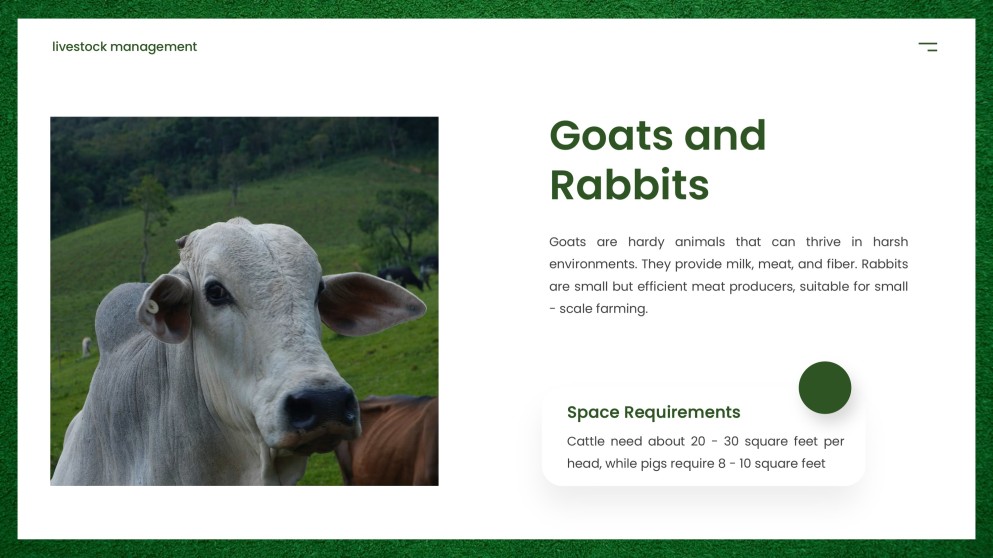 Modern Agriculture Livestock Management PPT with Icons