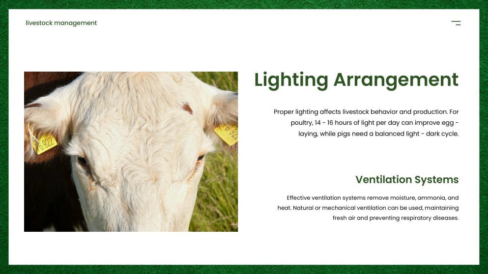Modern Agriculture Livestock Management PPT with Icons