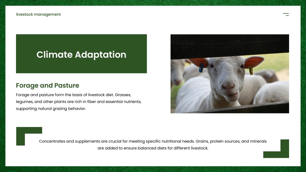 Modern Agriculture Livestock Management PPT with Icons