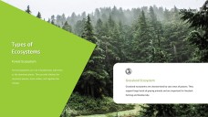 Forest Greenery Style Ecosystem PPT Template