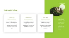 Forest Greenery Style Ecosystem PPT Template