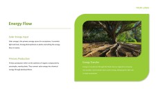 Forest Greenery Style Ecosystem PPT Template
