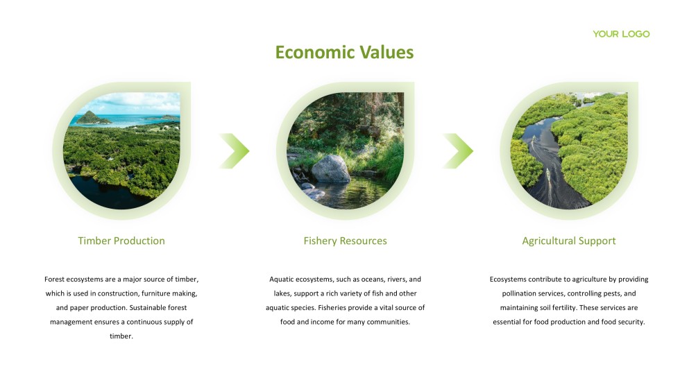 Forest Greenery Style Ecosystem PPT Template