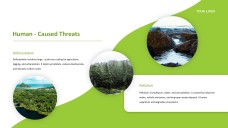 Forest Greenery Style Ecosystem PPT Template