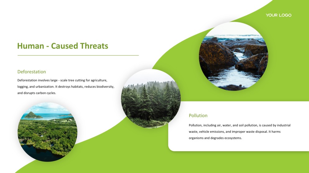 Forest Greenery Style Ecosystem PPT Template