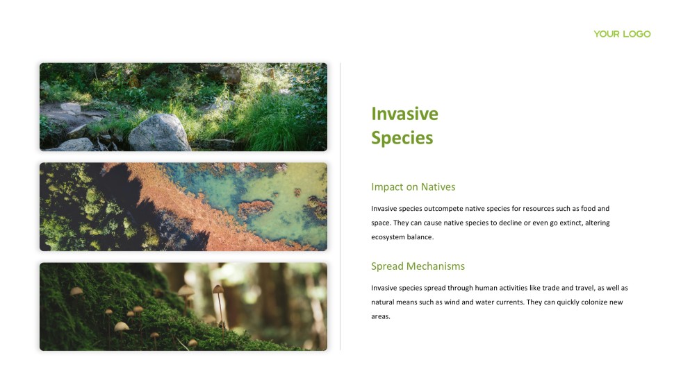 Forest Greenery Style Ecosystem PPT Template