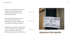 Brown Classic Minimalist French Revolution PPT Template for History