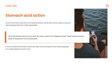 Orange Fresh and Energetic Proteins PPT Presentation Template