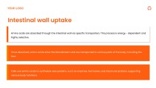Orange Fresh and Energetic Proteins PPT Presentation Template