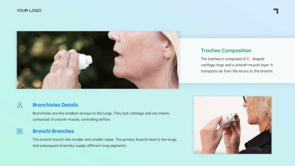 เทมเพลตพาวเวอร์พอยต์ระบบทางเดินหายใจสีน้ำเงิน-เขียวแบบมินิมอล