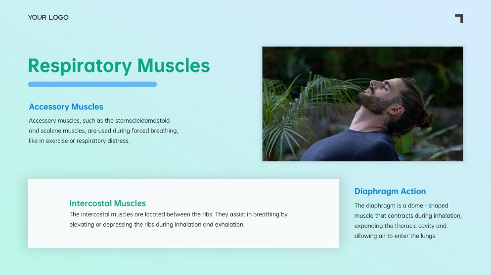 เทมเพลตพาวเวอร์พอยต์ระบบทางเดินหายใจสีน้ำเงิน-เขียวแบบมินิมอล