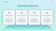 เทมเพลตพาวเวอร์พอยต์ระบบทางเดินหายใจสีน้ำเงิน-เขียวแบบมินิมอล