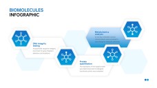 Infográficos Minimalistas Azuis de Biomoléculas para PPT