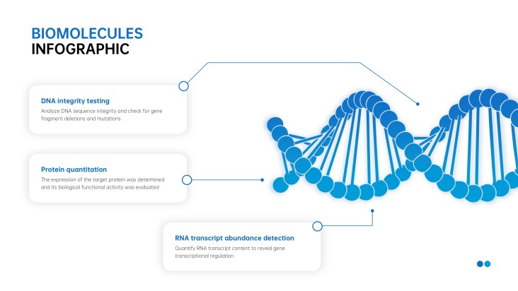 Infográficos Minimalistas Azuis de Biomoléculas para PPT