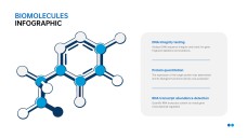 Infográficos Minimalistas Azuis de Biomoléculas para PPT