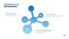 Infográficos Minimalistas Azuis de Biomoléculas para PPT