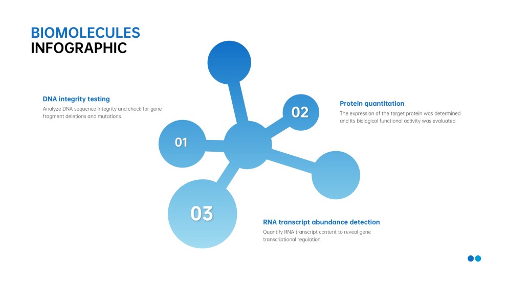 Infográficos Minimalistas Azuis de Biomoléculas para PPT