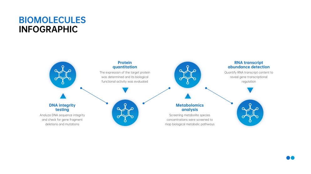 Infográficos Minimalistas Azuis de Biomoléculas para PPT