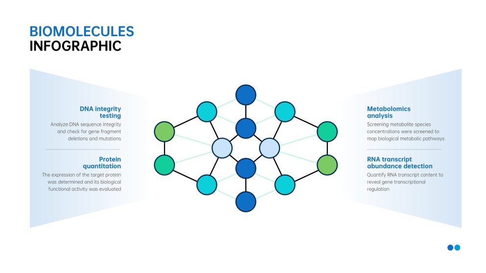 Infográficos Minimalistas Azuis de Biomoléculas para PPT
