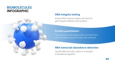 Infográficos Minimalistas Azuis de Biomoléculas para PPT