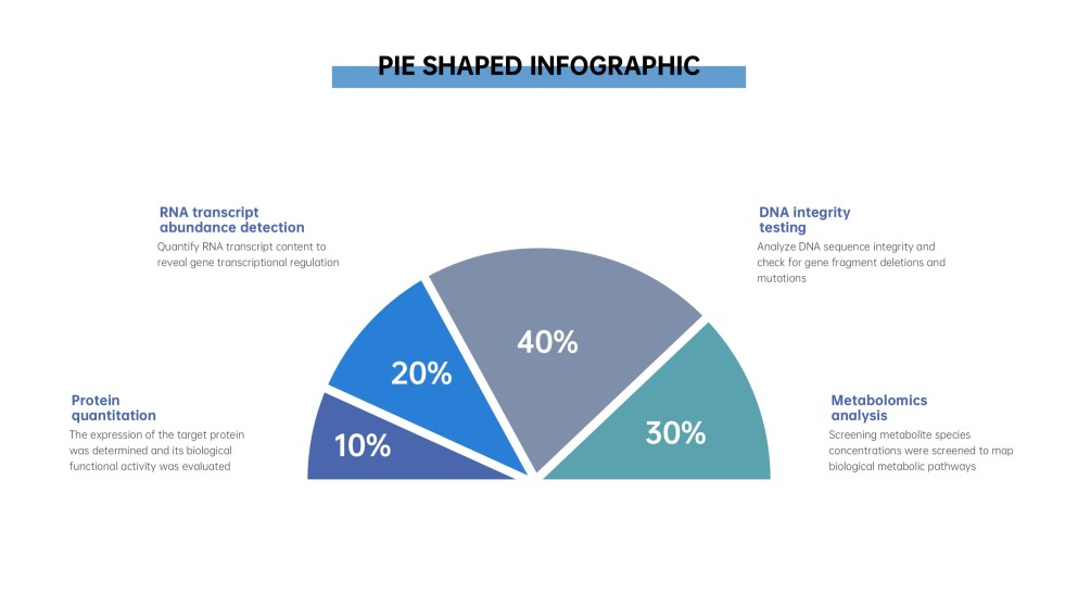商業數據分析圓餅圖模板