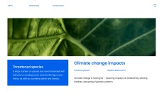 藍色自然風格生物多樣性保育PPT模板