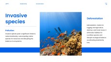 藍色自然風格生物多樣性保育PPT模板