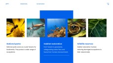 藍色自然風格生物多樣性保育PPT模板